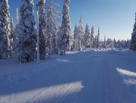 Apart Daire, 1 Yatak Odası, Sauna