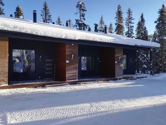 Apart Daire, 2 Yatak Odası, Sauna