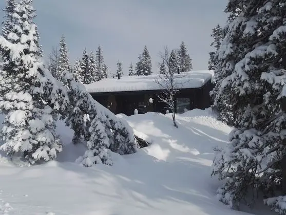 Apart Daire, 2 Yatak Odası, Sauna