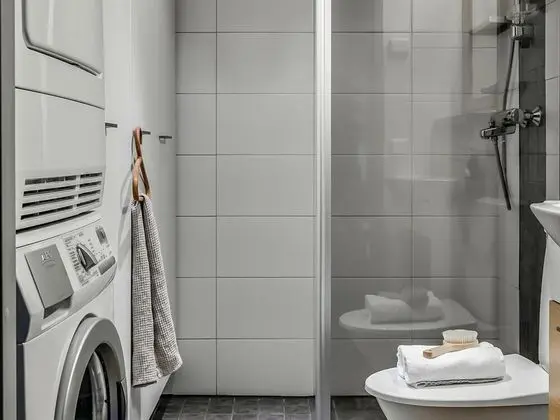 Ev