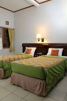 Deluxe Tek Büyük veya İki Ayrı Yataklı Oda