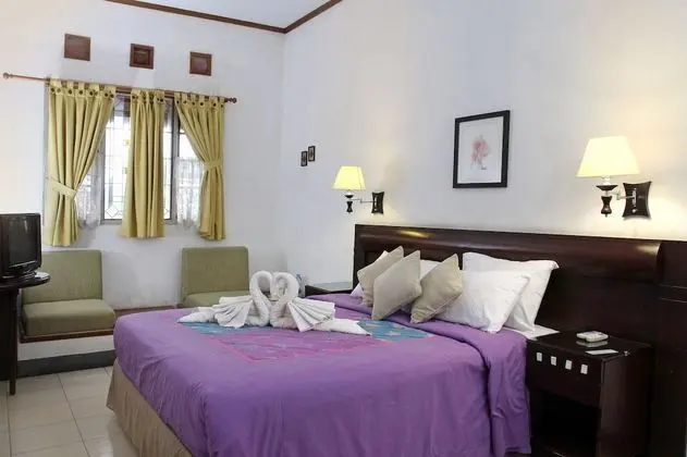 Deluxe Tek Büyük veya İki Ayrı Yataklı Oda