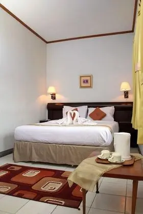 Deluxe Tek Büyük veya İki Ayrı Yataklı Oda