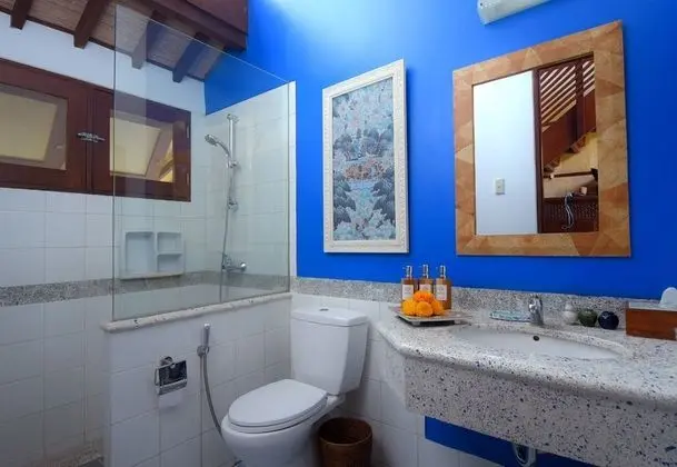 Superior Tek Büyük Yataklı Oda, 1 Büyük (Queen) Boy Yatak, Bahçe Manzaralı (Jasmine Room)