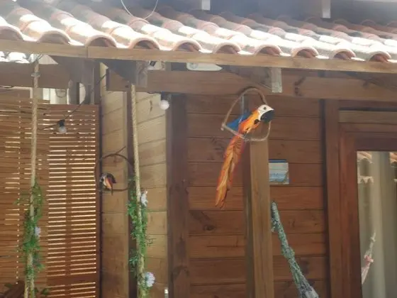 Basic Tek Büyük Yataklı Oda