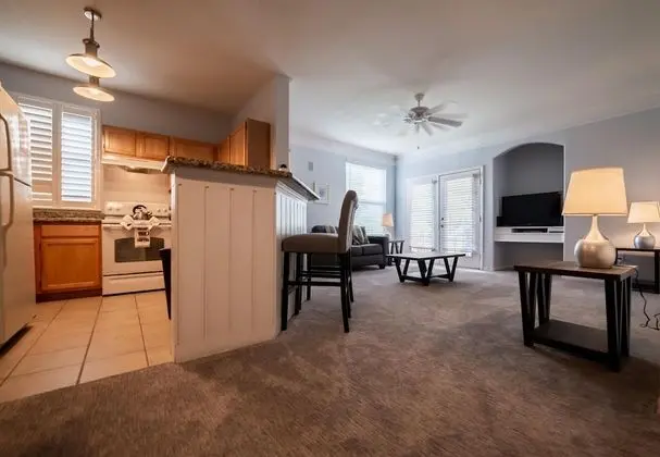 Daire (Cozy apartment only miles from Disney)