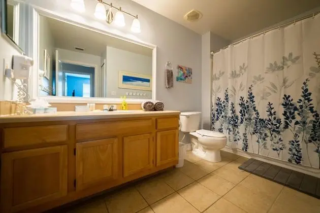 Daire (Cozy apartment only miles from Disney)