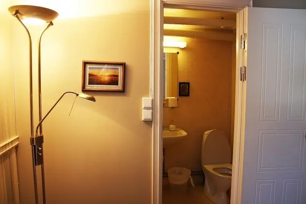 Traditional Tek Büyük Yataklı Oda (Shared Bathroom)