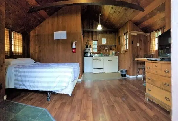 Basic Kulübe (Standard Studio Cabin)
