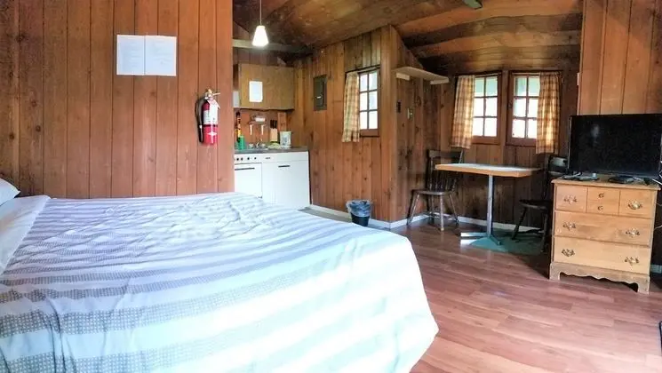 Basic Kulübe (Standard Studio Cabin)