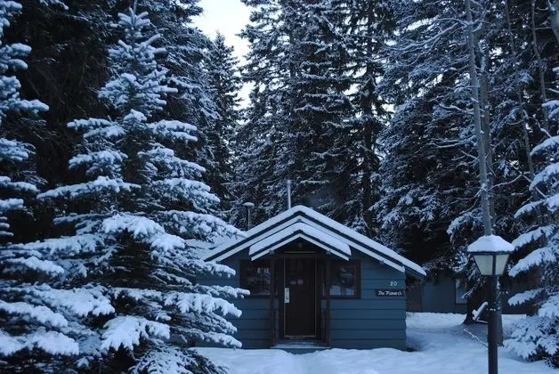 Basic Kulübe (Standard Studio Cabin)