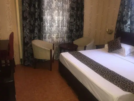 Standard Tek Büyük Yataklı Oda, 1 En Büyük (King) Boy Yatak, Sigara İçilebilir, Şehir Manzaralı