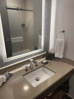 Oda, 1 En Büyük (King) Boy Yatak, Engellilere Uygun (Track View, Roll-In Shower)