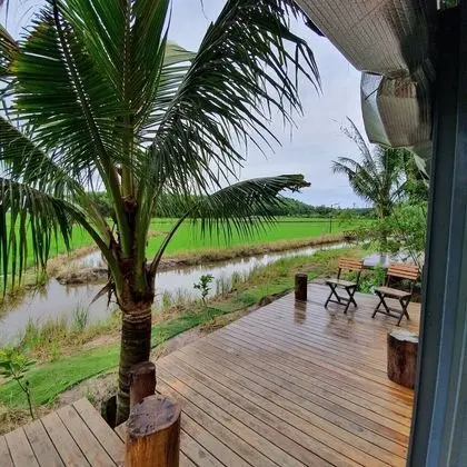Luxury Oda (Paddy view)