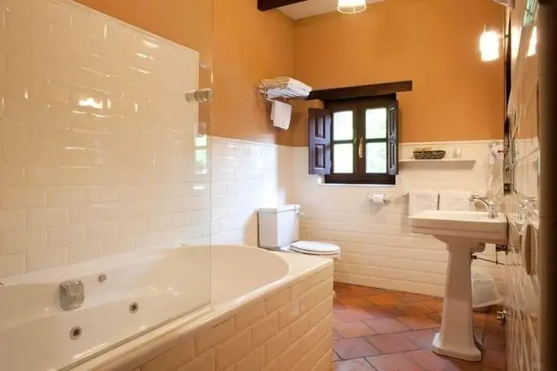 Süit