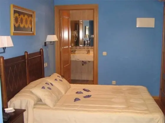 Tek Büyük Yataklı Oda, 1 Çift Kişilik Yatak