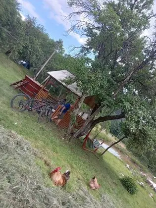 Oda, 1 Yatak Odası, Veranda