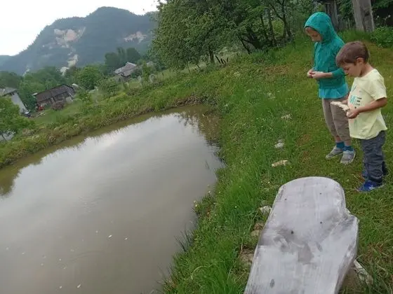 Oda, 1 Yatak Odası, Veranda