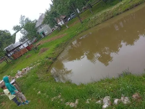 Oda, 1 Yatak Odası, Veranda