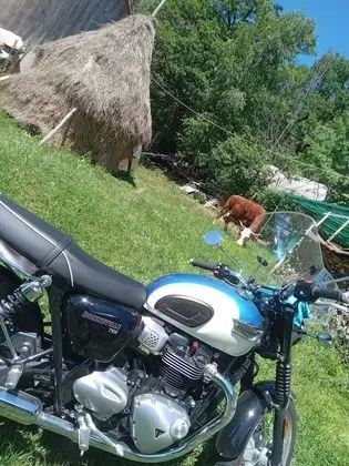 Oda, 1 Yatak Odası, Veranda