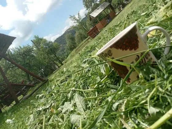 Oda, 1 Yatak Odası, Veranda