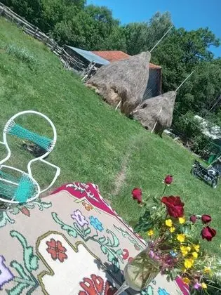 Oda, 1 Yatak Odası, Veranda