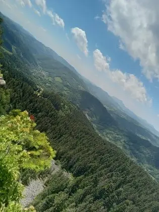 Oda, 1 Yatak Odası, Veranda