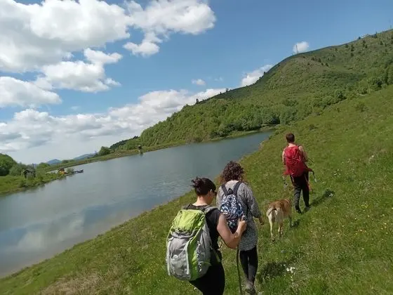 Oda, 1 Yatak Odası, Veranda