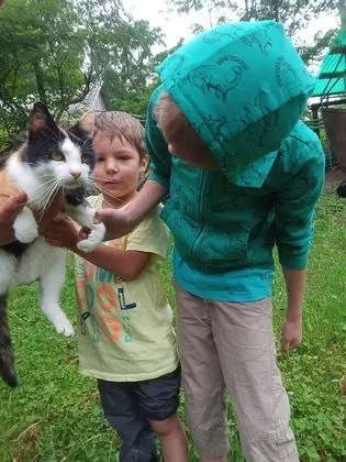 Oda, 1 Yatak Odası, Veranda