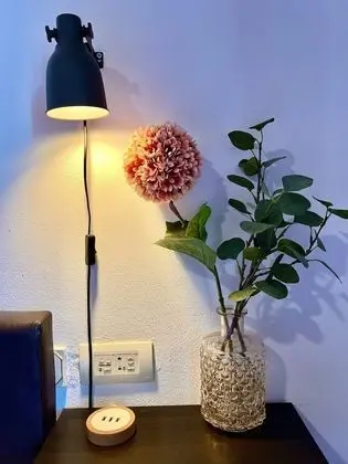 Superior Oda, 1 En Büyük (King) Boy Yatak, Dağ Manzaralı