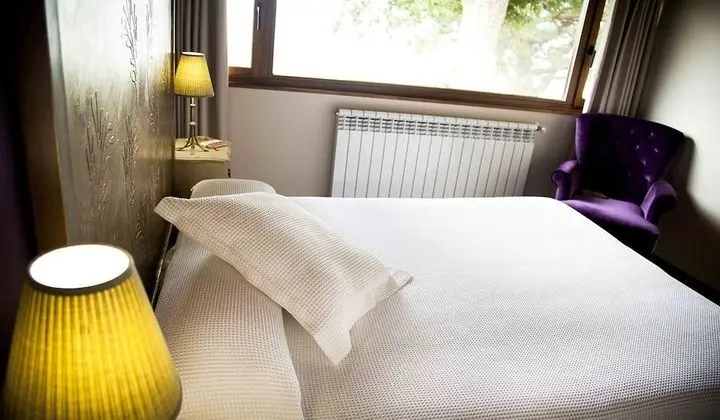 Superior Tek Büyük Yataklı Oda, 1 Çift Kişilik Yatak, Dağ Manzaralı