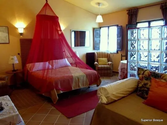 Superior Tek Büyük Yataklı Oda (Junior Suite Bosque)