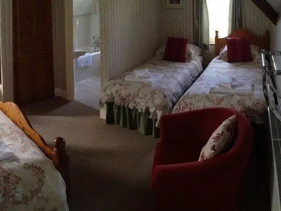 Comfort Tek Büyük Yataklı Oda, Özel Banyo