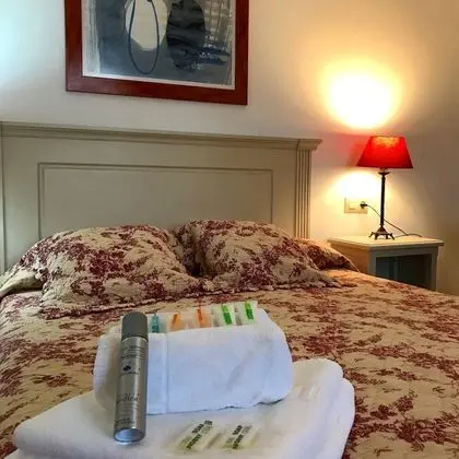 Tek Büyük Yataklı Oda, Bahçe Manzaralı