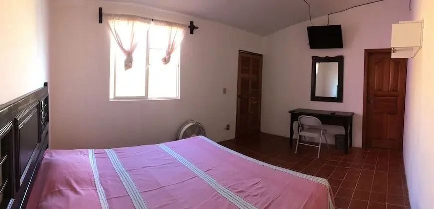 Standard Tek Büyük Yataklı Oda, 1 En Büyük (King) Boy Yatak