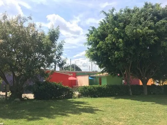 Standard Tek Büyük Yataklı Oda, 1 En Büyük (King) Boy Yatak