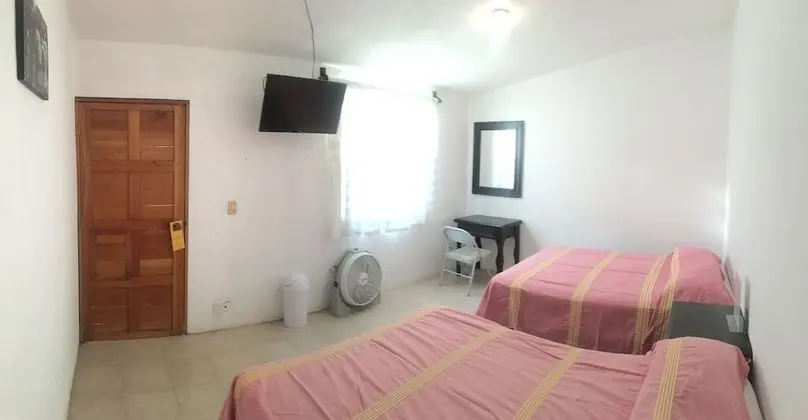 Standard Tek Büyük Yataklı Oda, 2 Çift Kişilik Yatak