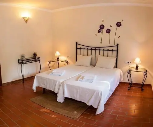 Tek Büyük veya İki Ayrı Yataklı Oda, Bahçe Manzaralı