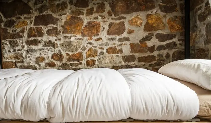 Ortak Ranzalı Oda, Karma Ranzalı Oda (1 Bed in 4 bed Dorm, Rural Surf House)