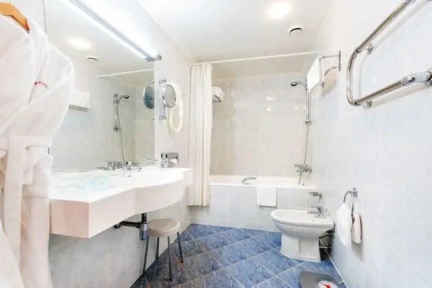 Executive Süit, 1 Çift Kişilik Yatak