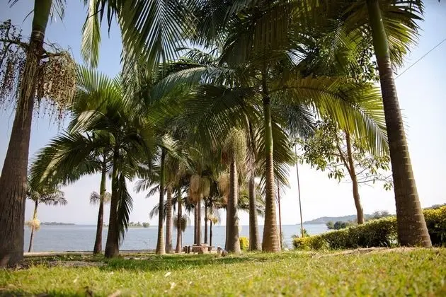 Deluxe Oda