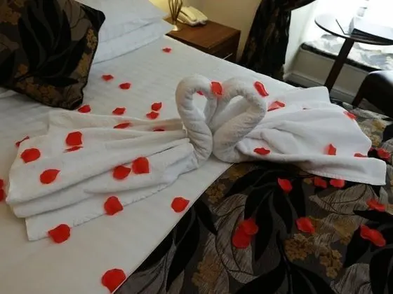 Tek Büyük Yataklı Oda, Banyolu/Duşlu (Four Poster)