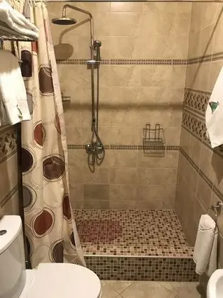 Standard Tek Büyük Yataklı Oda, Buzdolabı, Şehir Manzaralı