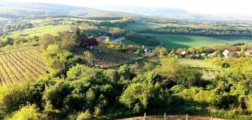 Oda, 1 Yatak Odası, Şömine