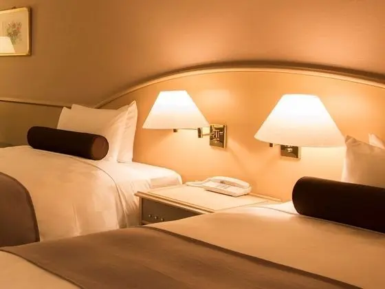İki Ayrı Yataklı Oda (with 1 Extra bed - North & South Wing)