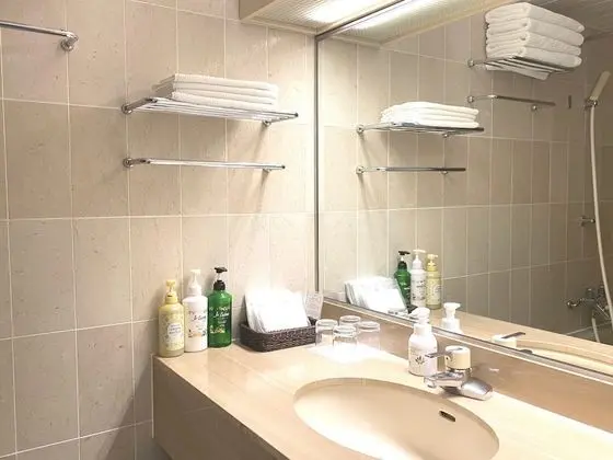 İki Ayrı Yataklı Oda (with 1 Extra bed - North & South Wing)