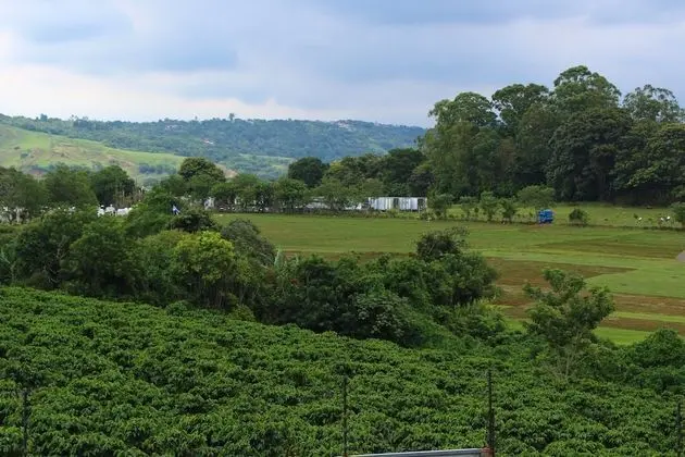 Panoramic Stüdyo Süit, 2 Yatak Odası, Mutfak, Dağ Manzaralı