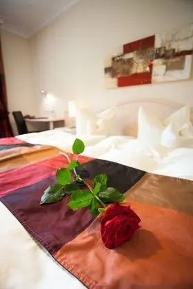 Comfort Oda, Park Manzaralı