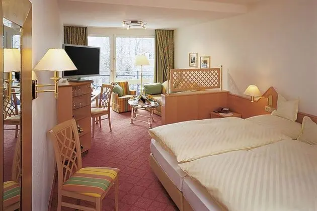 Comfort Stüdyo, 1 Yatak Odası, Park Manzaralı