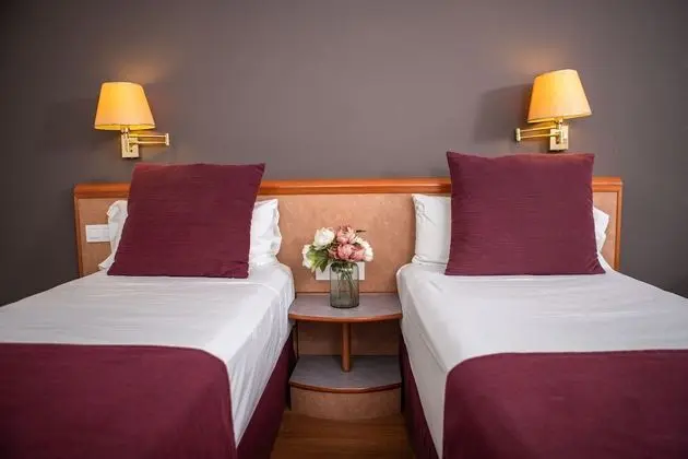 Deluxe Tek Büyük Yataklı Oda (1 pax)